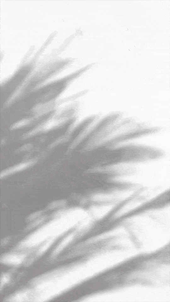 solar